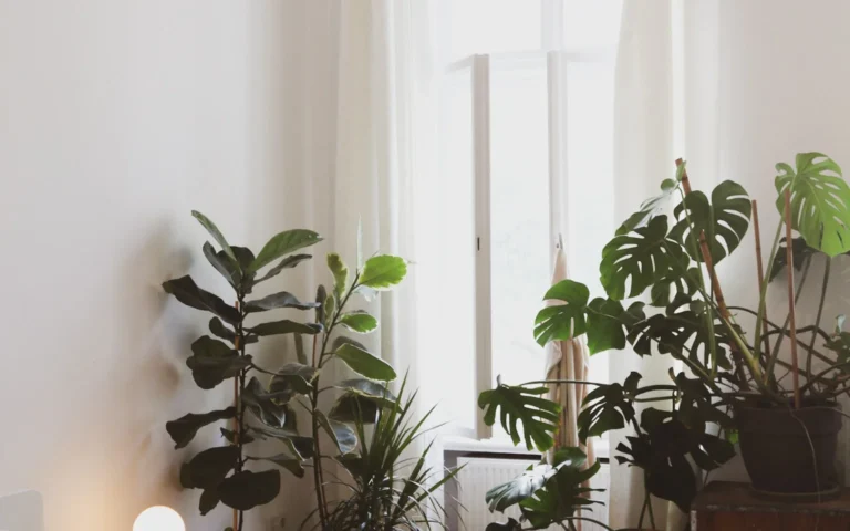 Compact bedroom houseplants on a small nightstand in filtered light