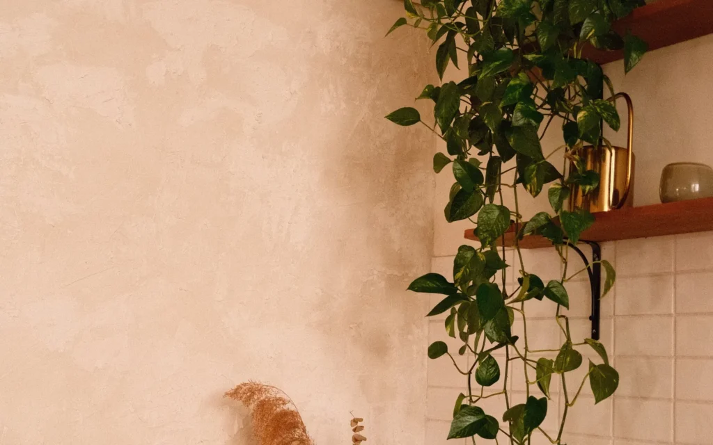 Golden pothos trailing from a bathroom shelf near a bright shower