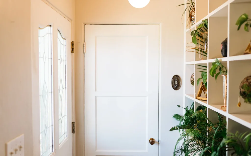 A bright entryway with a simple planter holding healthy green houseplants near the front door