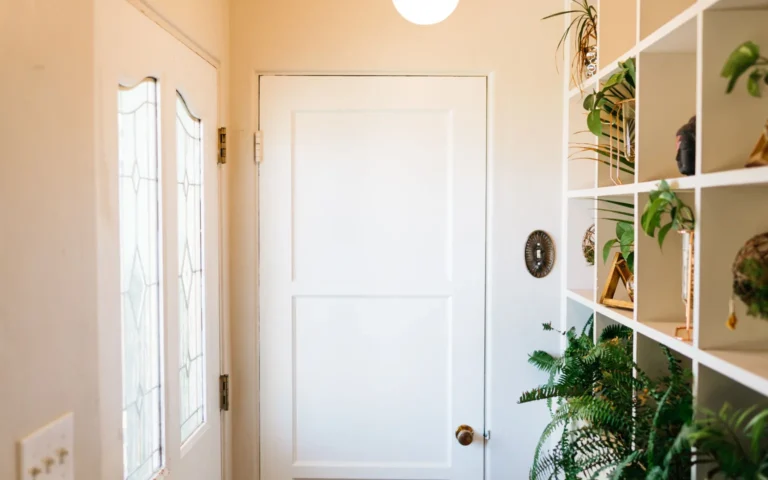 A bright entryway with a simple planter holding healthy green houseplants near the front door