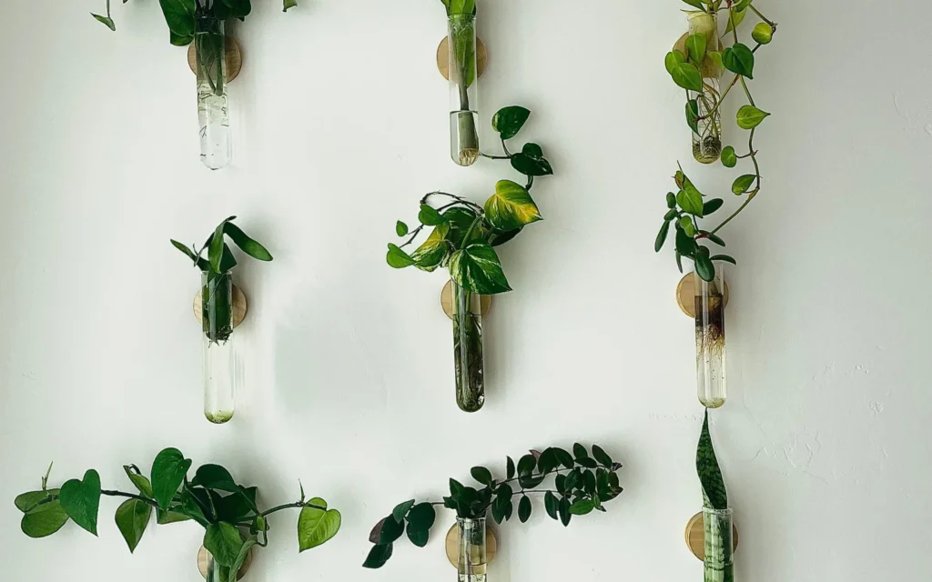 A bright indoor living wall with mixed green houseplants mounted neatly on a home wall