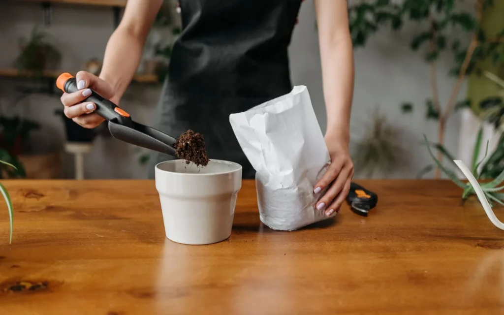 houseplant soil ph guide