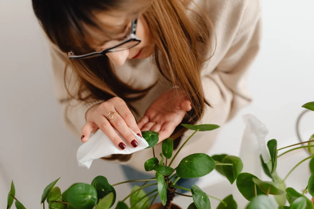 woman-take-care-of-house-plants