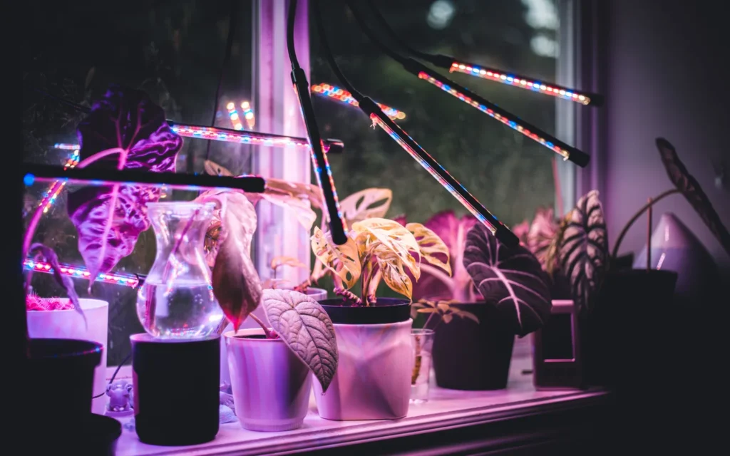 Mixed houseplants grouped by height beneath slim full-spectrum LED grow lights on an indoor shelf